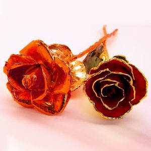 Rose Day - An alternative to gifting fresh roses